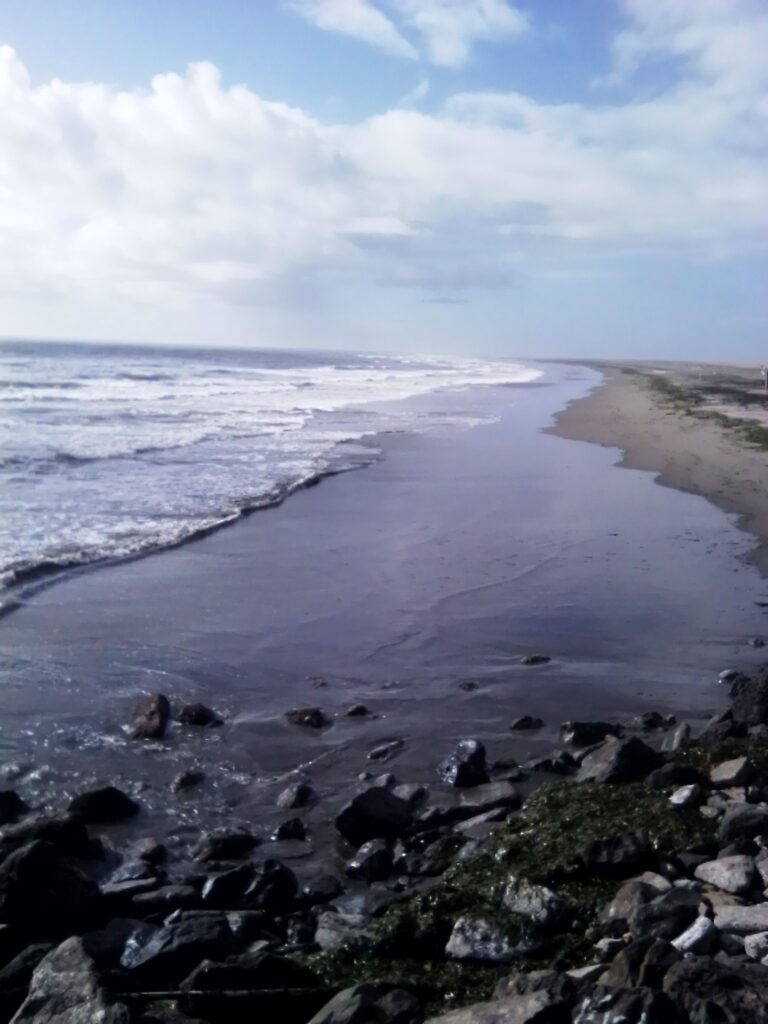 a rocky beach with waves crashing (MyCoast AI)