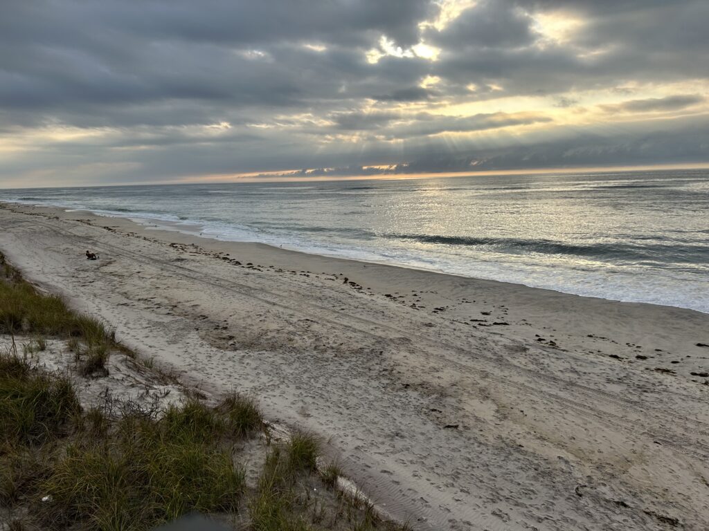 a beach with waves crashing on it (MyCoast AI)
