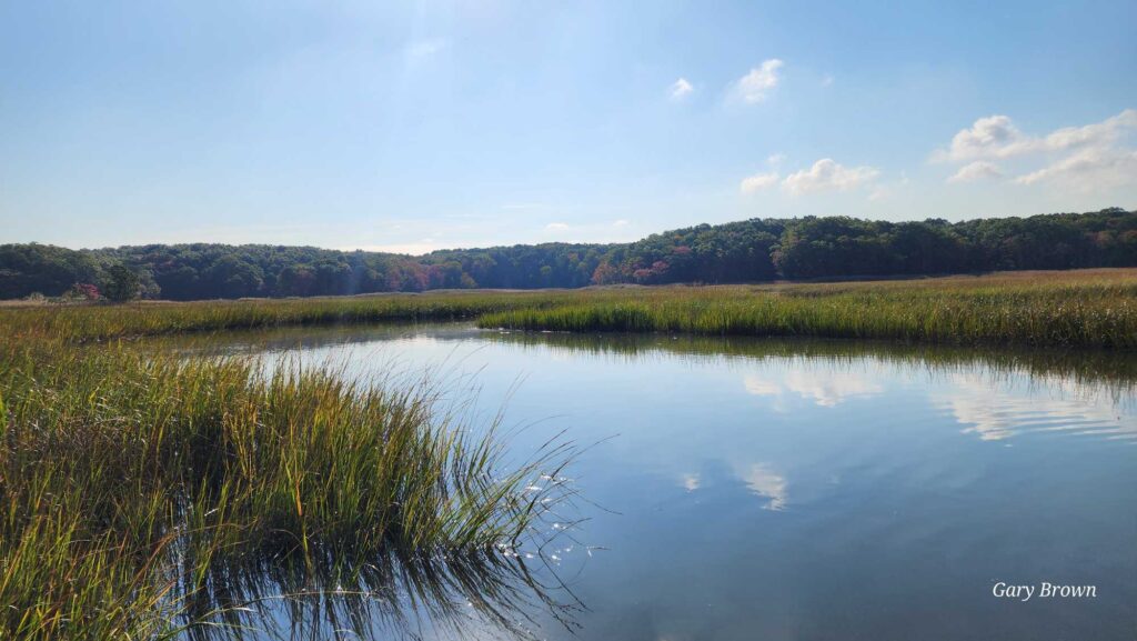 a body of water with grass and trees around it (MyCoast AI)