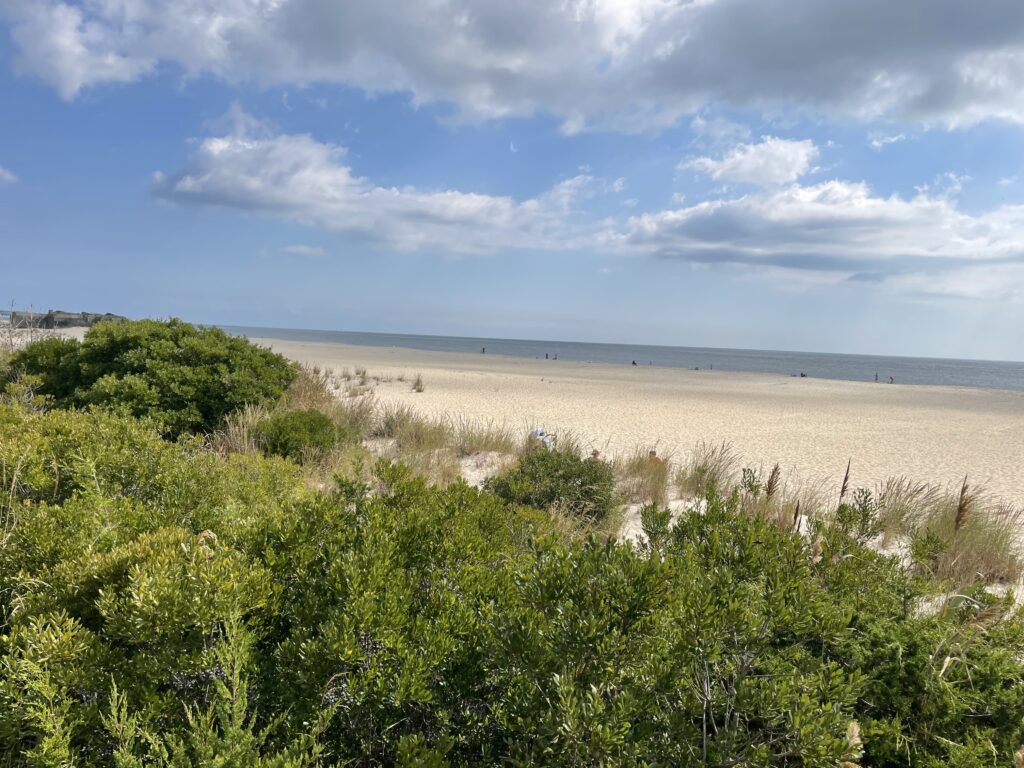 a large field with trees and bushes (MyCoast AI)