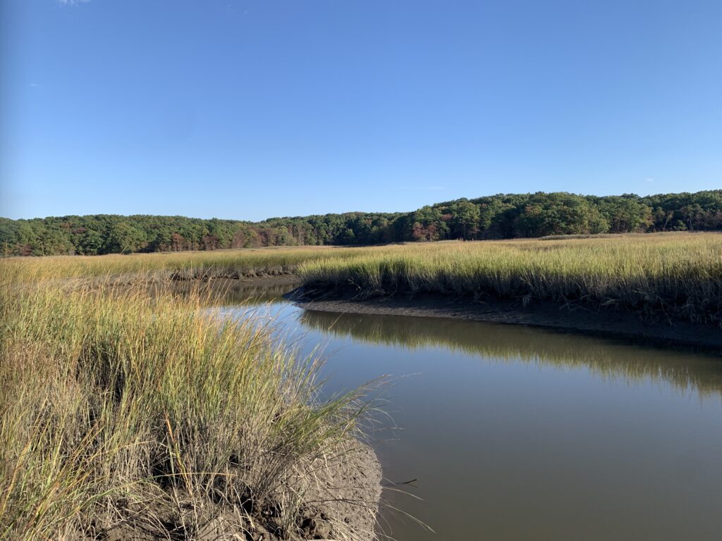 a body of water with grass and trees around it (MyCoast AI)