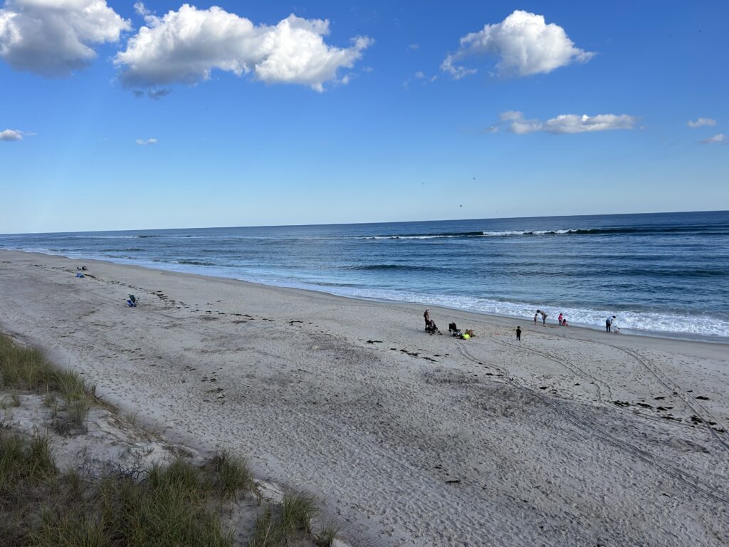 a group of people on a beach (MyCoast AI)