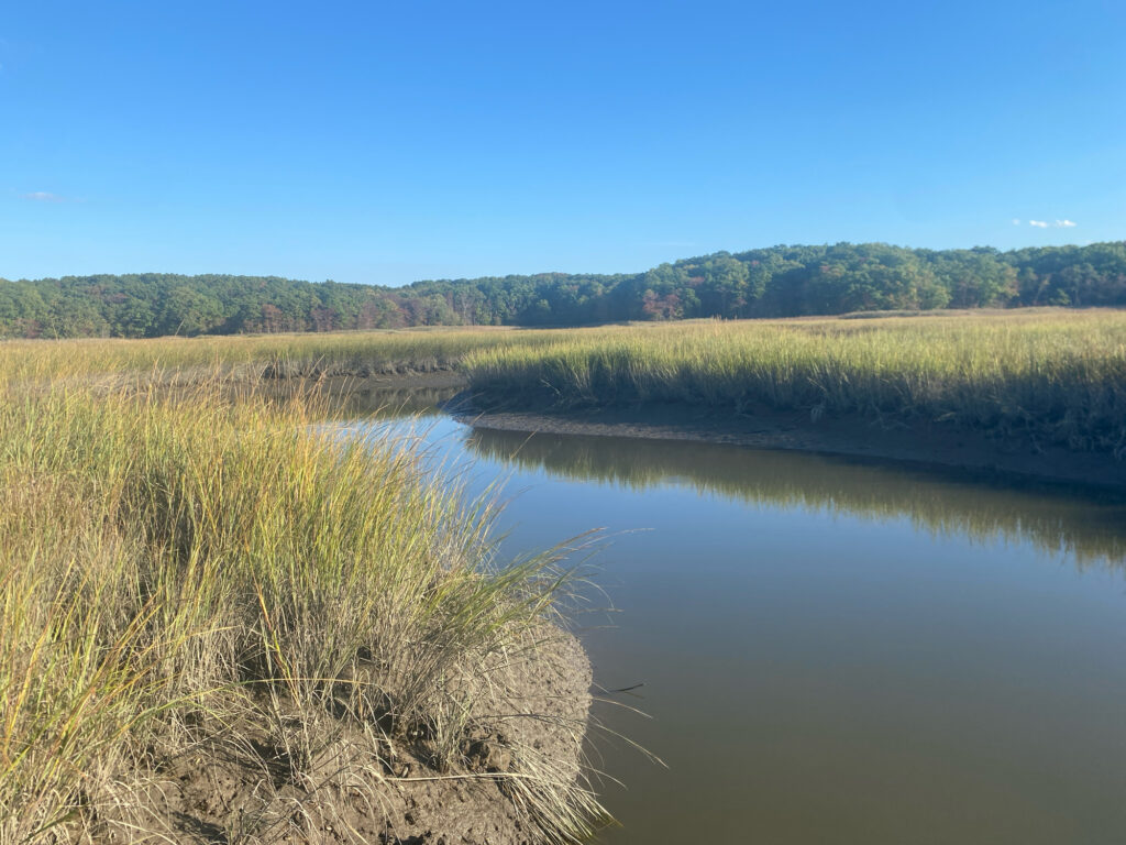 a body of water with grass and trees around it (MyCoast AI)