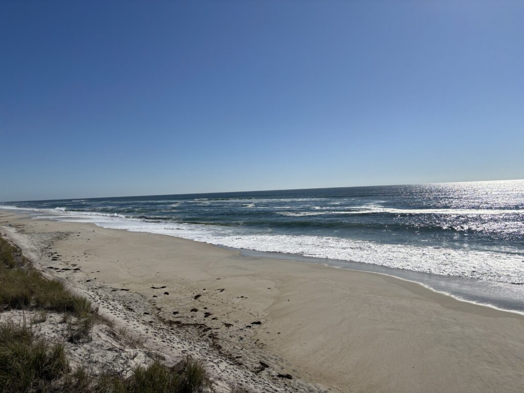 a sandy beach with waves crashing on it (MyCoast AI)