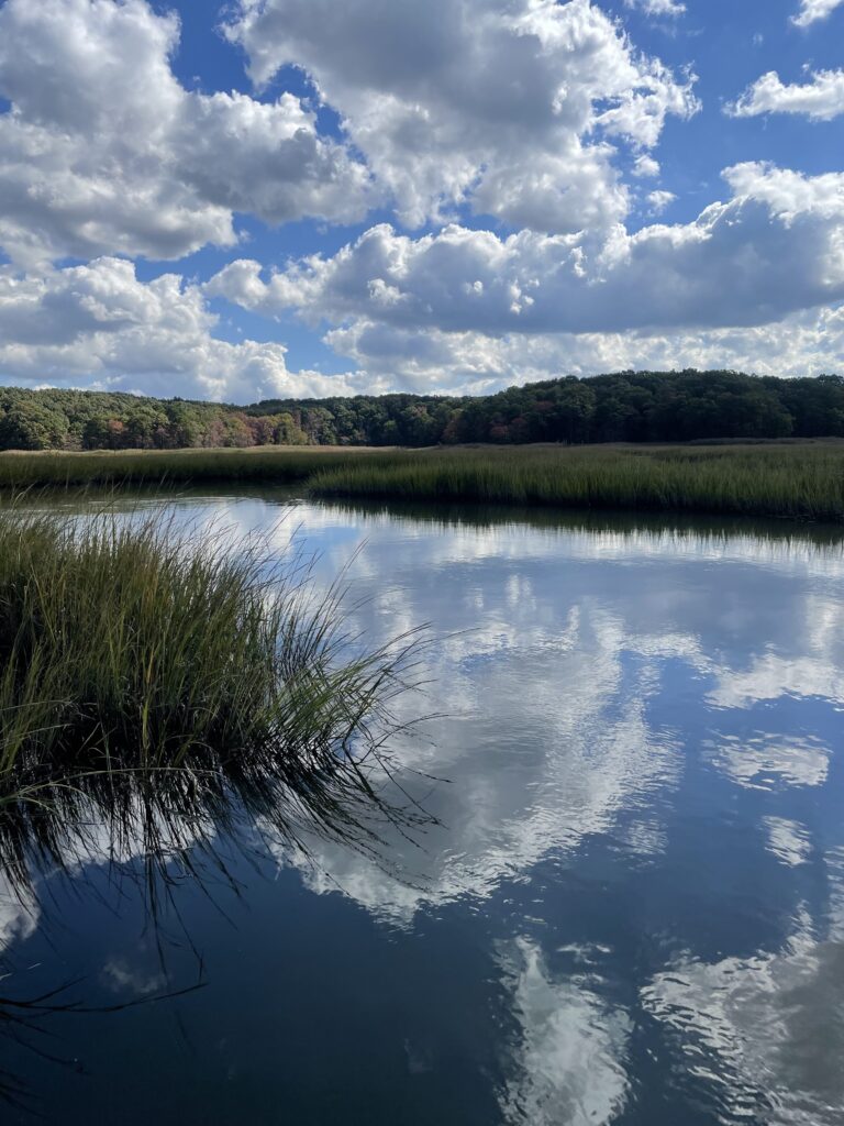 a body of water with grass and trees around it (MyCoast AI)