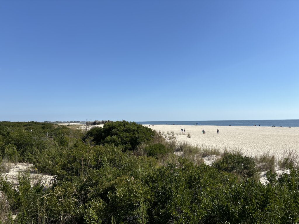 a beach with trees and bushes (MyCoast AI)