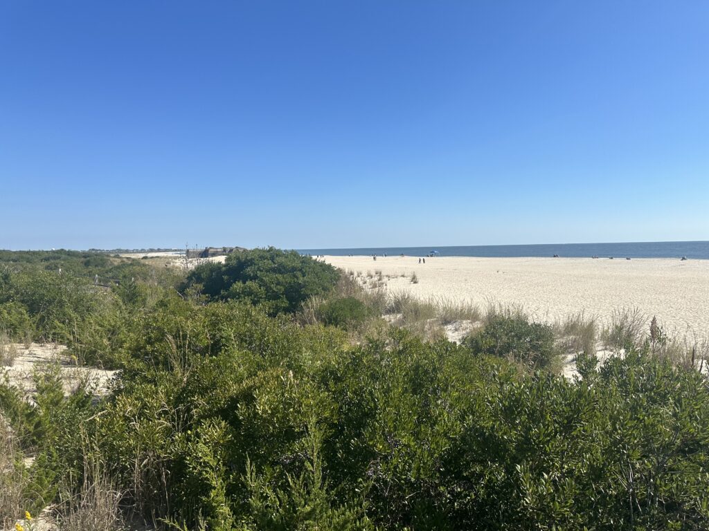 a landscape with trees and bushes (MyCoast AI)