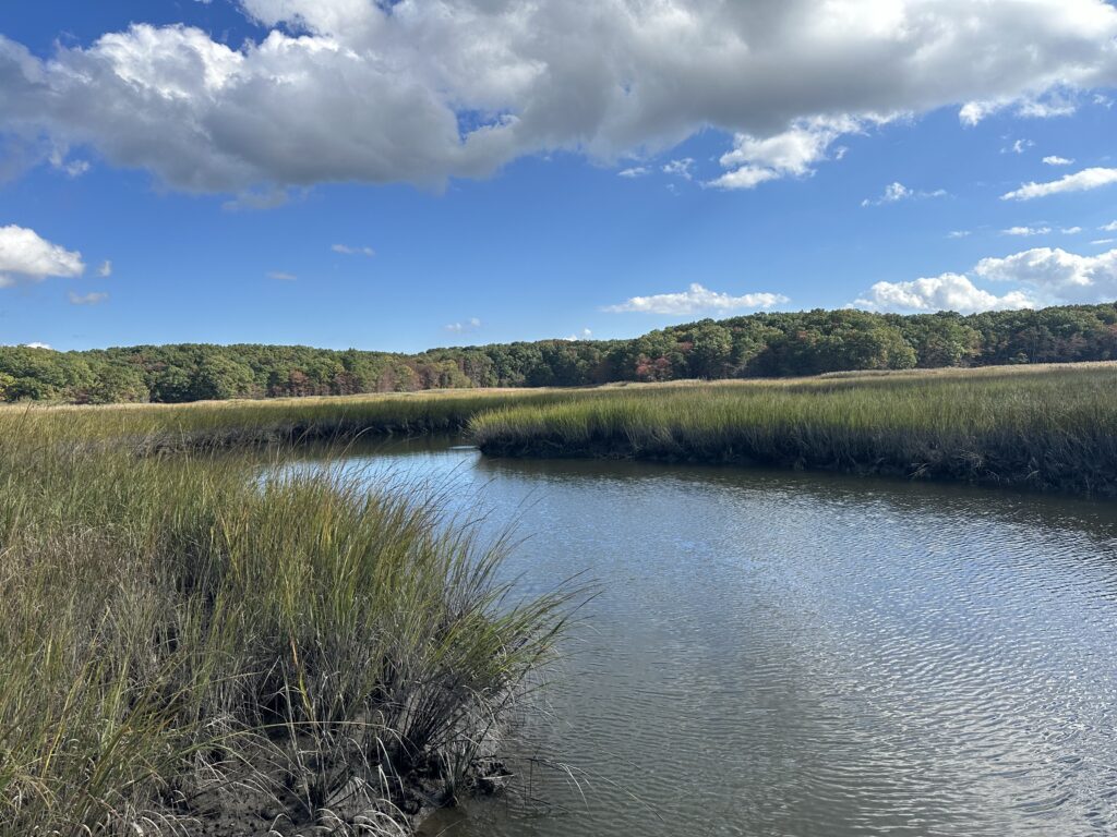 a body of water with grass and trees around it (MyCoast AI)