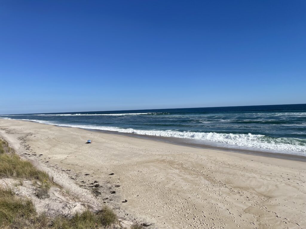 a sandy beach with waves crashing on it (MyCoast AI)