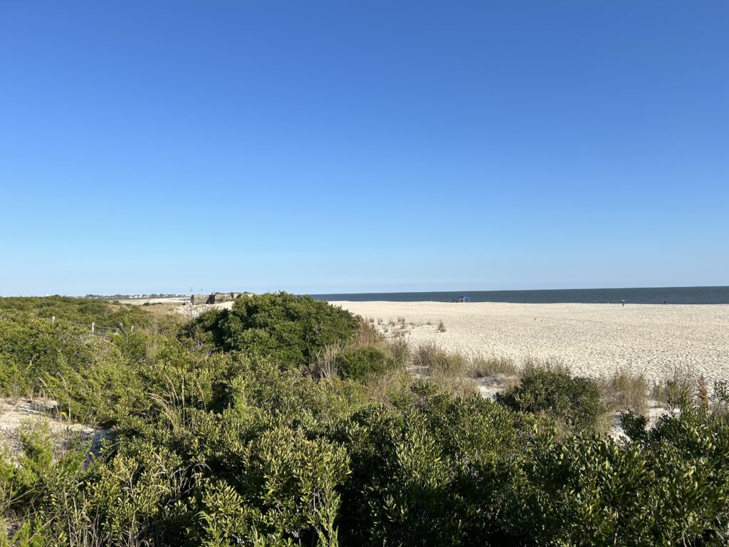 a landscape with trees and bushes (MyCoast AI)
