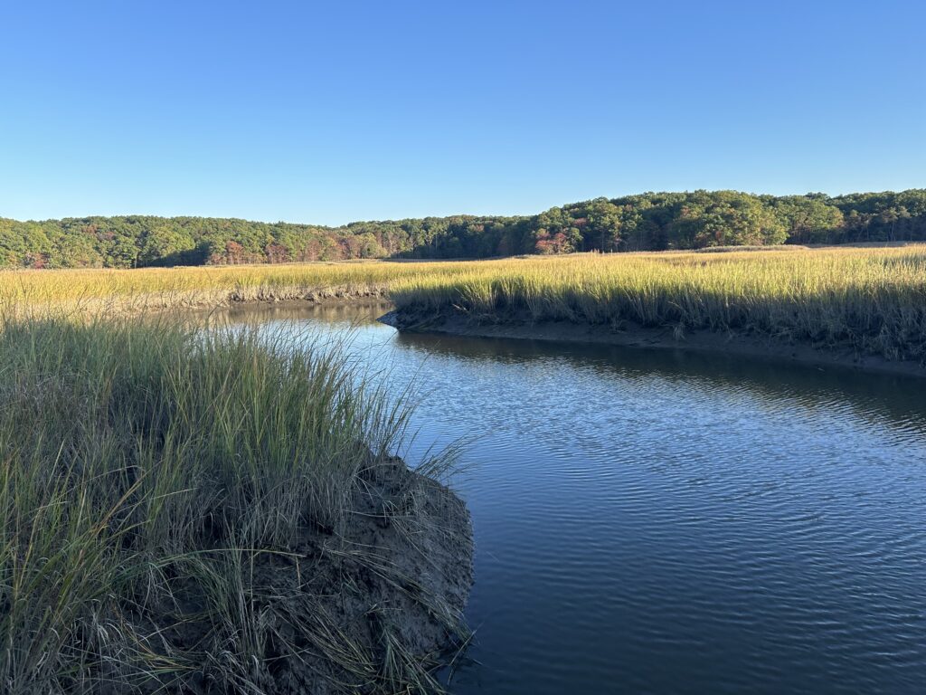 a body of water with grass and trees around it (MyCoast AI)