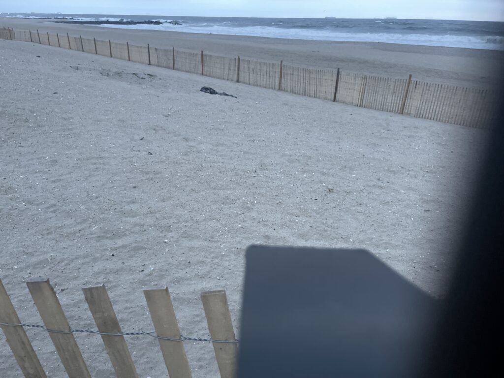a sandy beach with a fence (MyCoast AI)