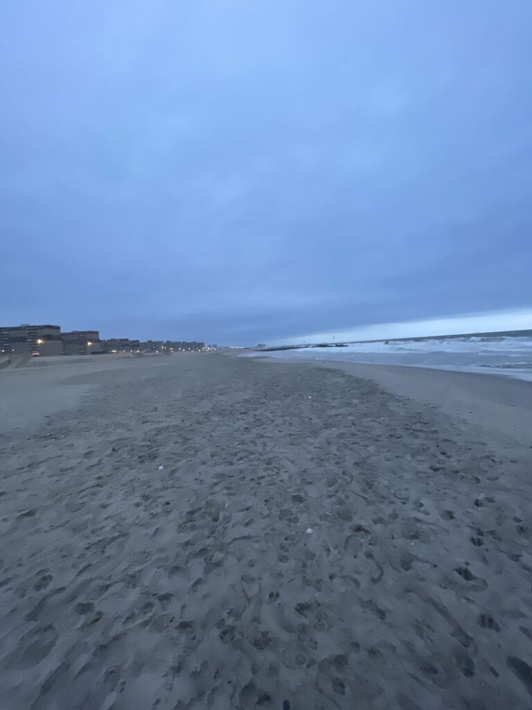 a sandy beach with waves crashing on it (MyCoast AI)