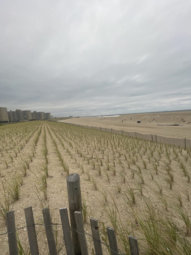 a fenced off field with a dirt road and buildings in the distance (MyCoast AI)