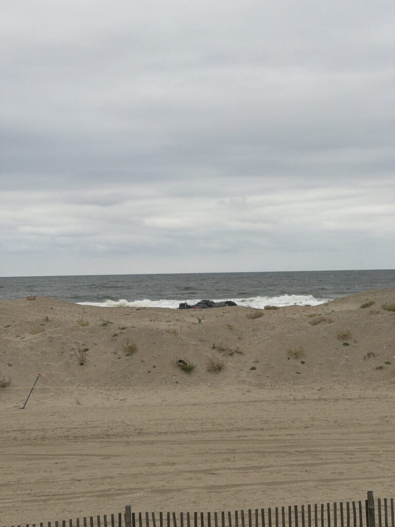 a sandy beach with waves crashing (MyCoast AI)