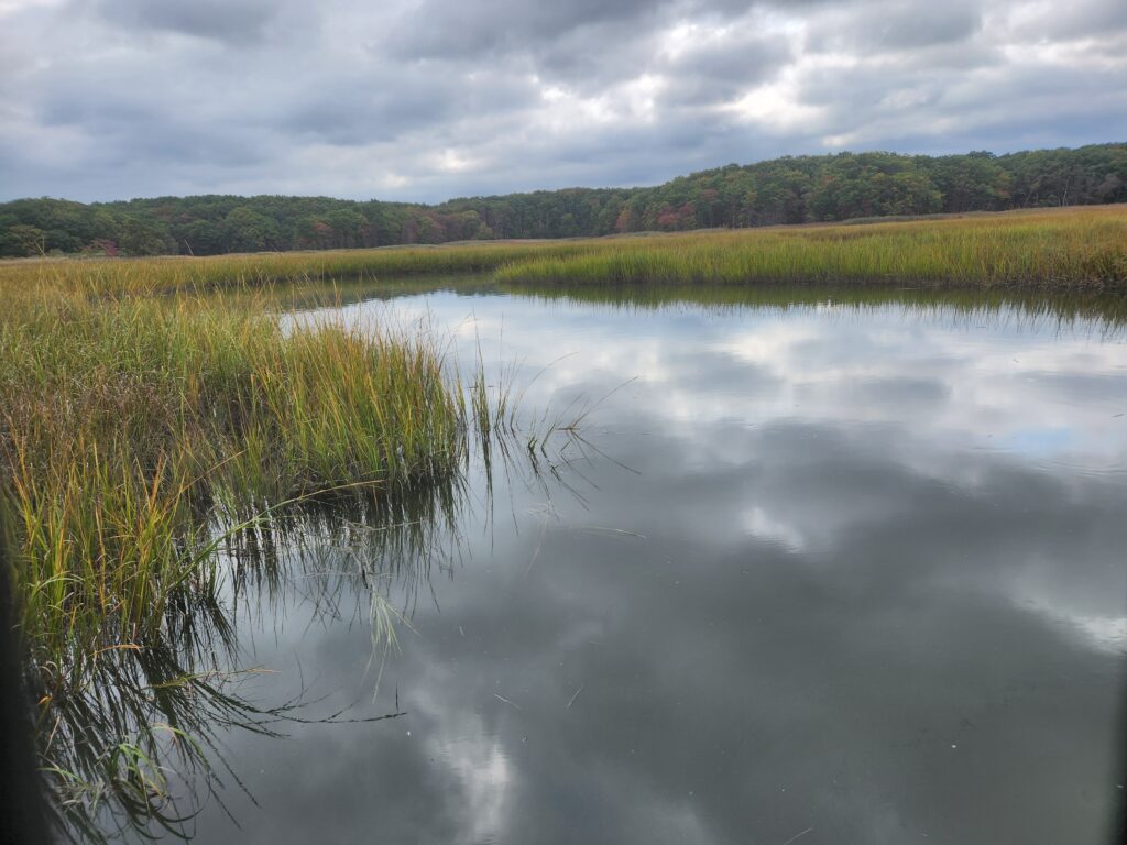 a body of water with grass and trees around it (MyCoast AI)