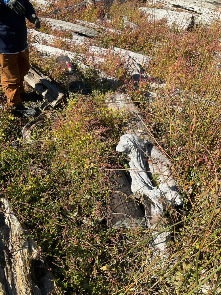 a person standing next to a large rock (MyCoast AI)