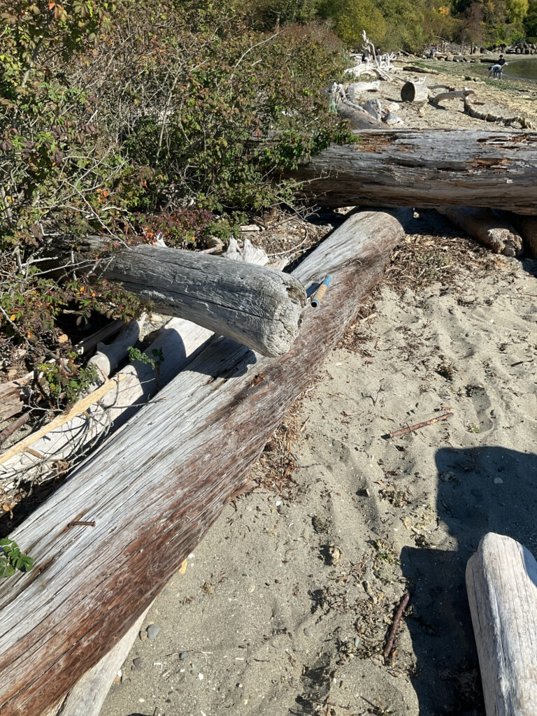 a group of logs on a dirt path (MyCoast AI)
