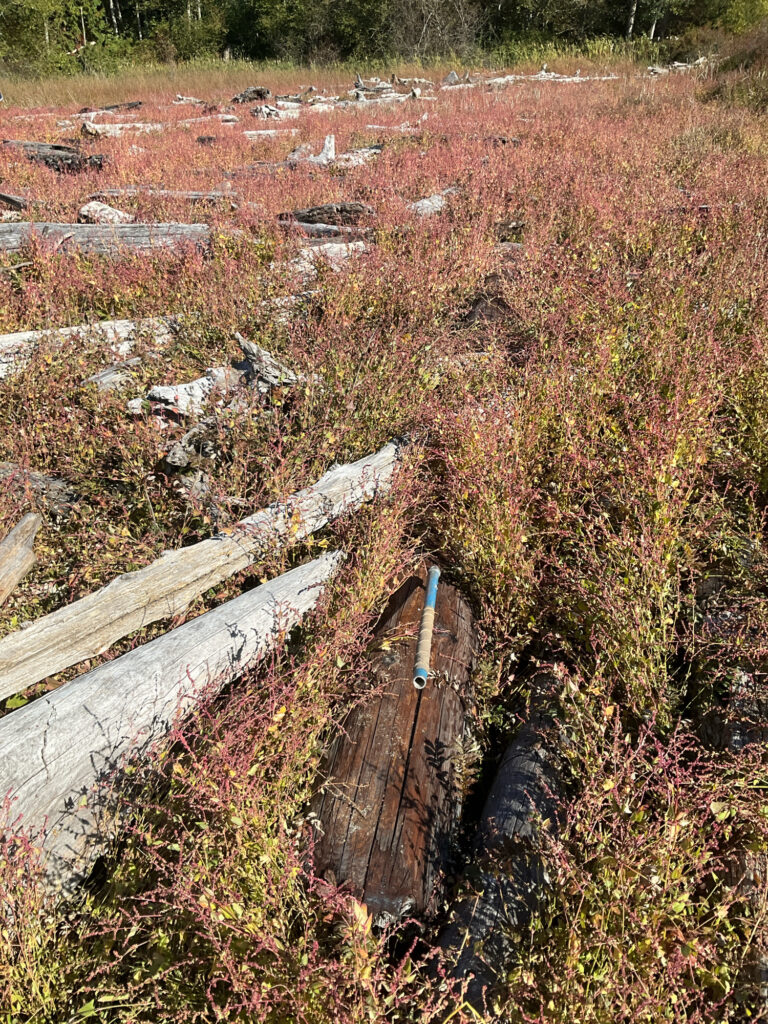 a wooden bridge over a river (MyCoast AI)