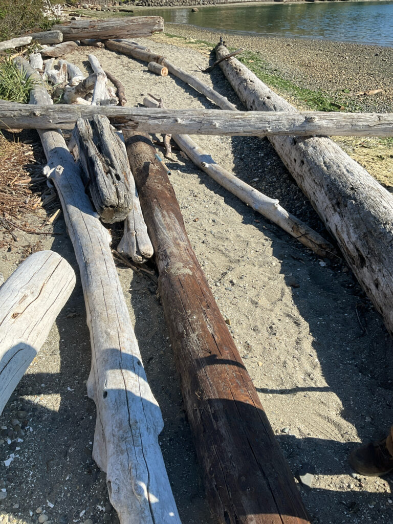 a wooden bridge over a river (MyCoast AI)