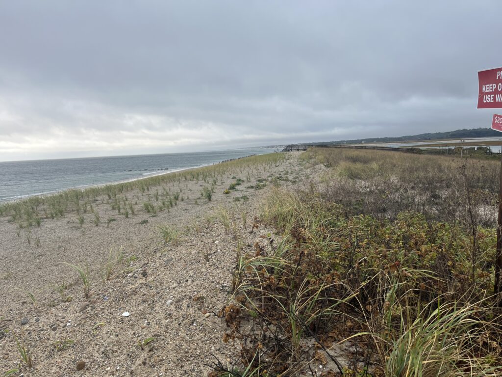a beach with bushes and a sign (MyCoast AI)