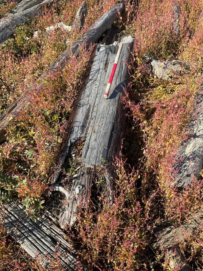 a small bridge over a stream (MyCoast AI)