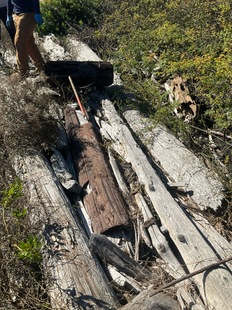 a person standing next to a broken bridge (MyCoast AI)