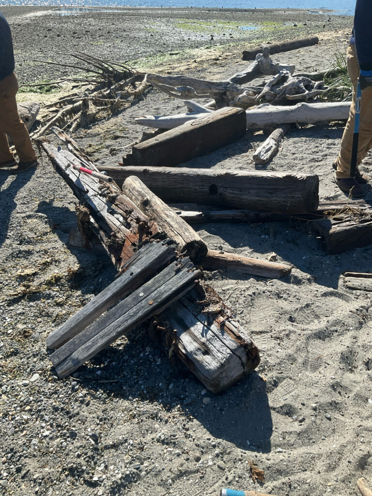 a pile of cut logs (MyCoast AI)