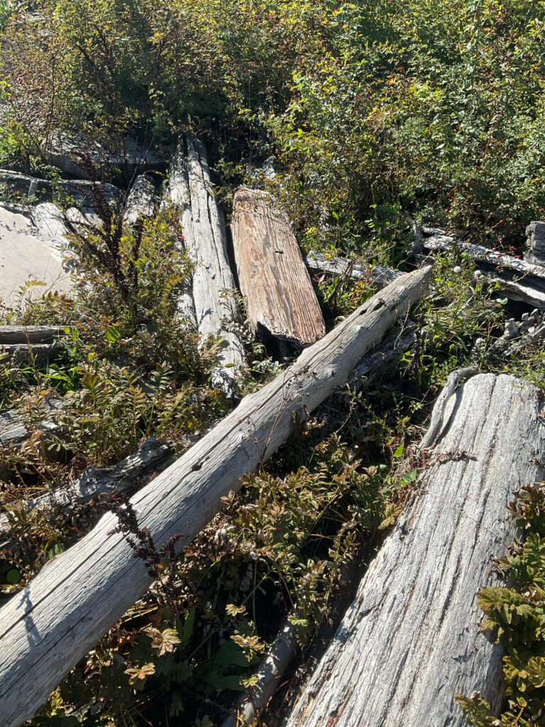 a wooden bridge over a river (MyCoast AI)