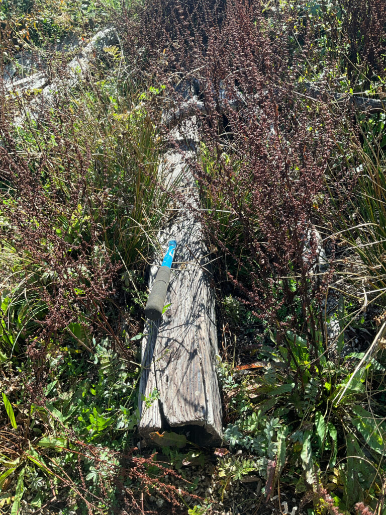 a cross on a tree stump (MyCoast AI)