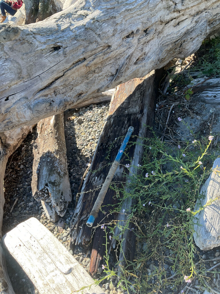 a tree stump with a blue rope (MyCoast AI)