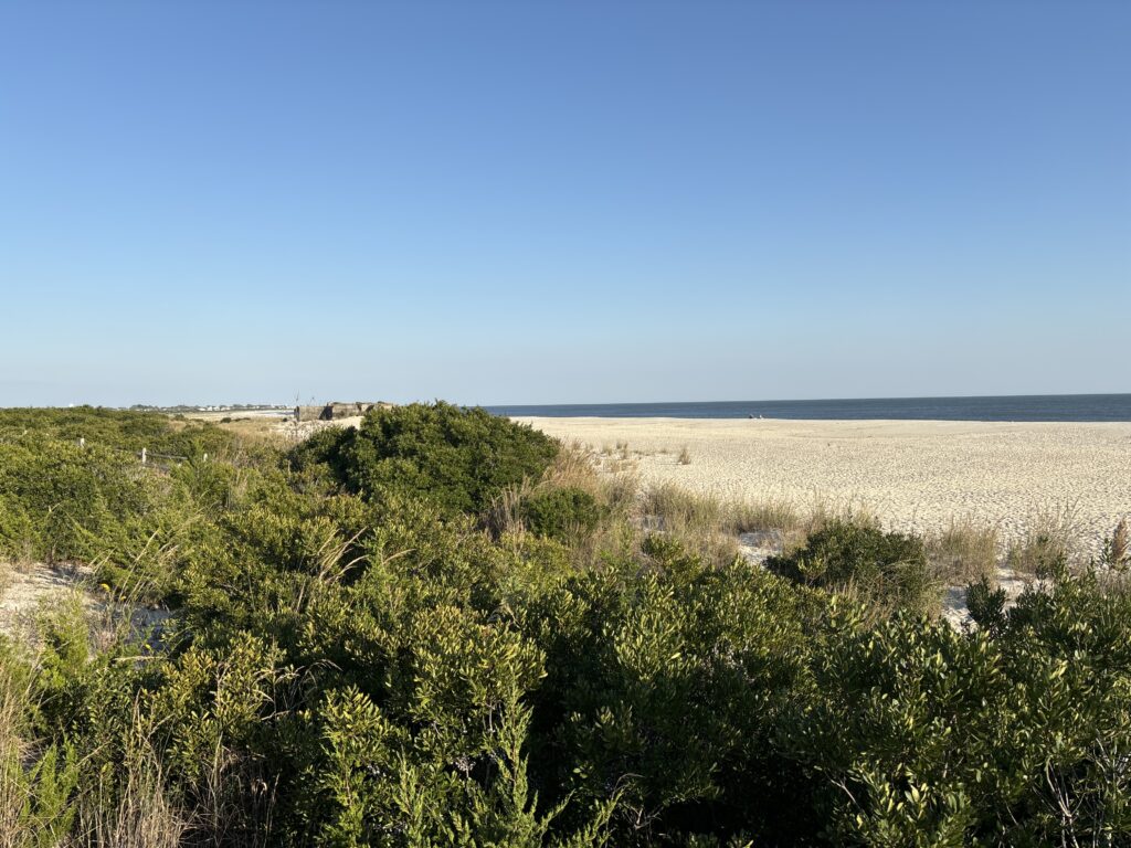 a landscape with trees and bushes (MyCoast AI)