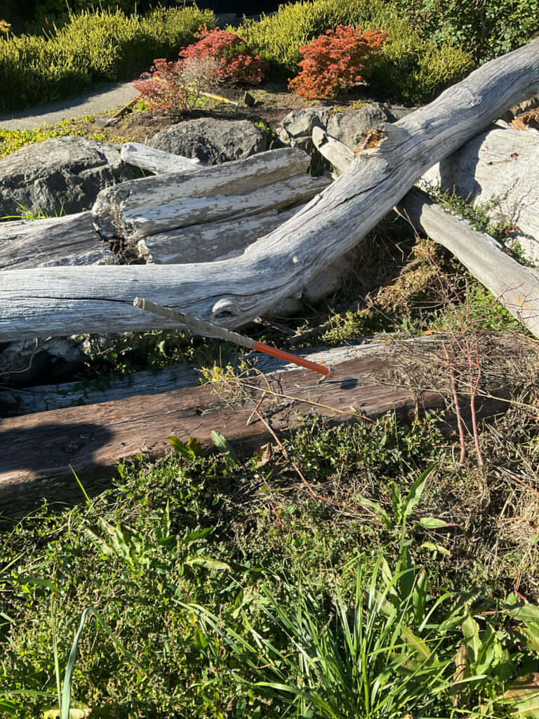a log in a garden (MyCoast AI)