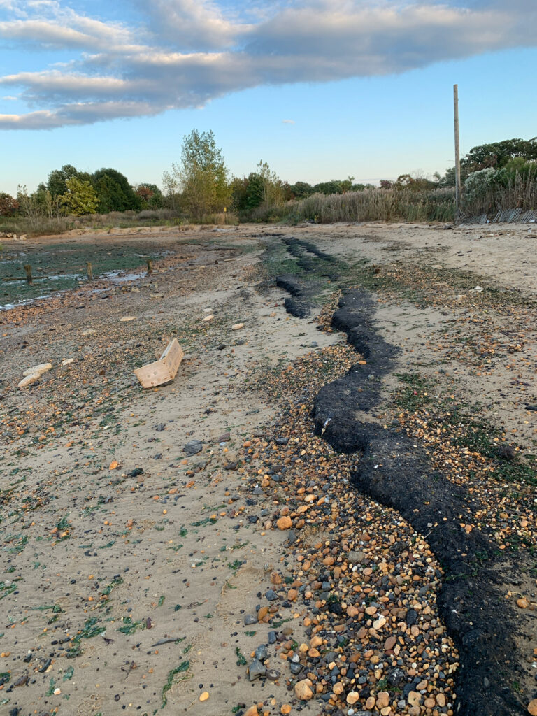 a muddy river bed (MyCoast AI)