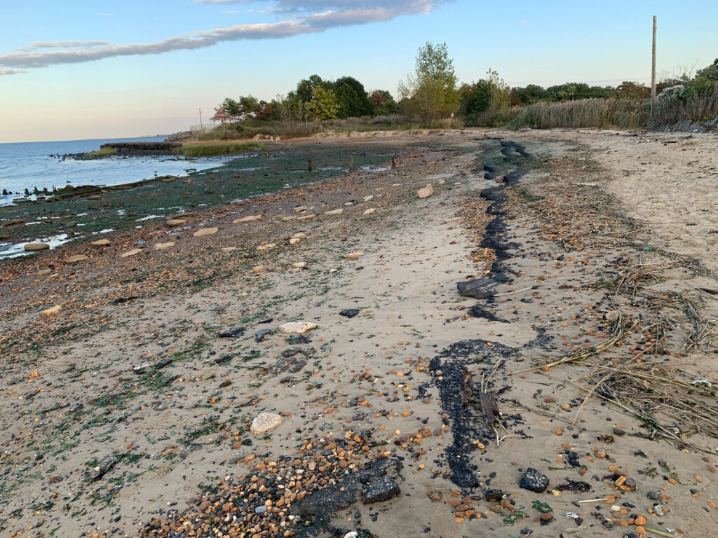 a rocky beach with water and trees (MyCoast AI)