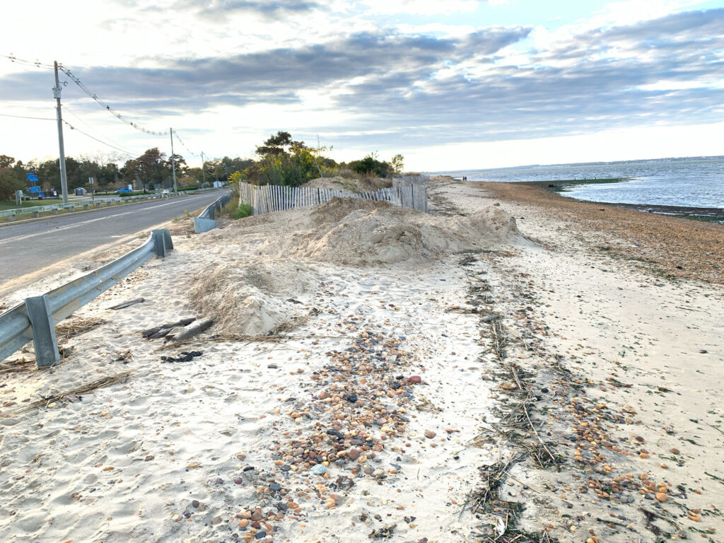 a beach with sand and water (MyCoast AI)