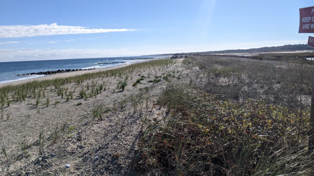 a sandy beach with bushes and water (MyCoast AI)