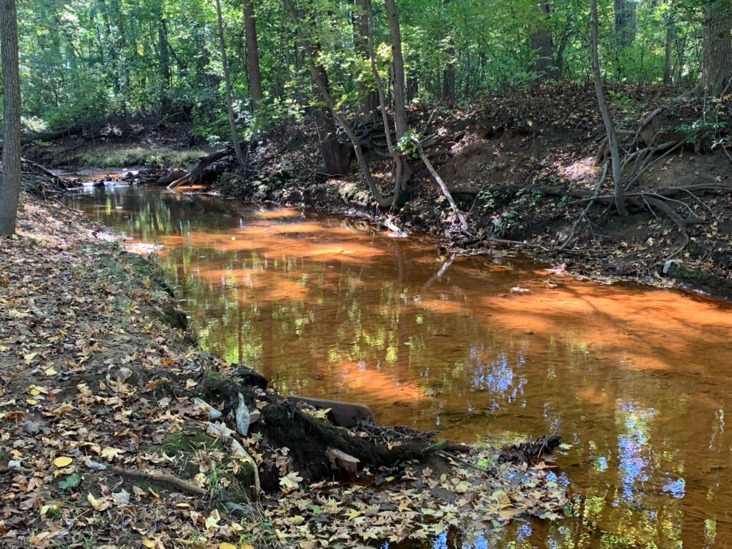 a small stream in the woods (MyCoast AI)