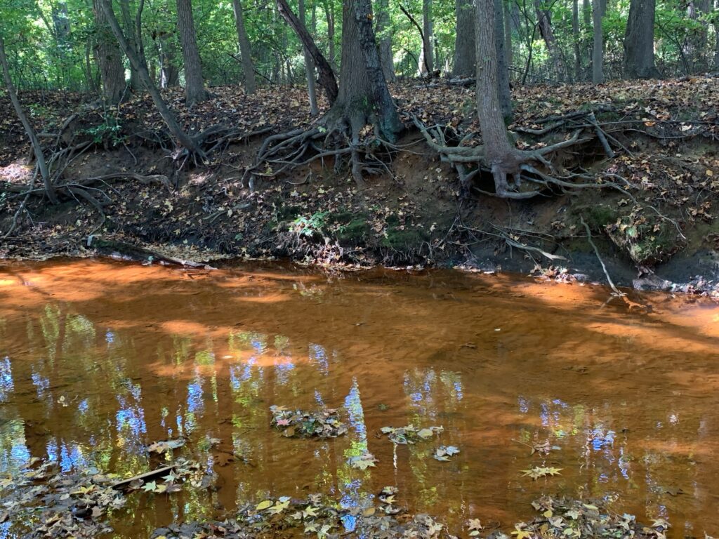 a small pond in the woods (MyCoast AI)