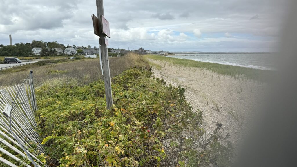 a beach with a fence and a body of water (MyCoast AI)
