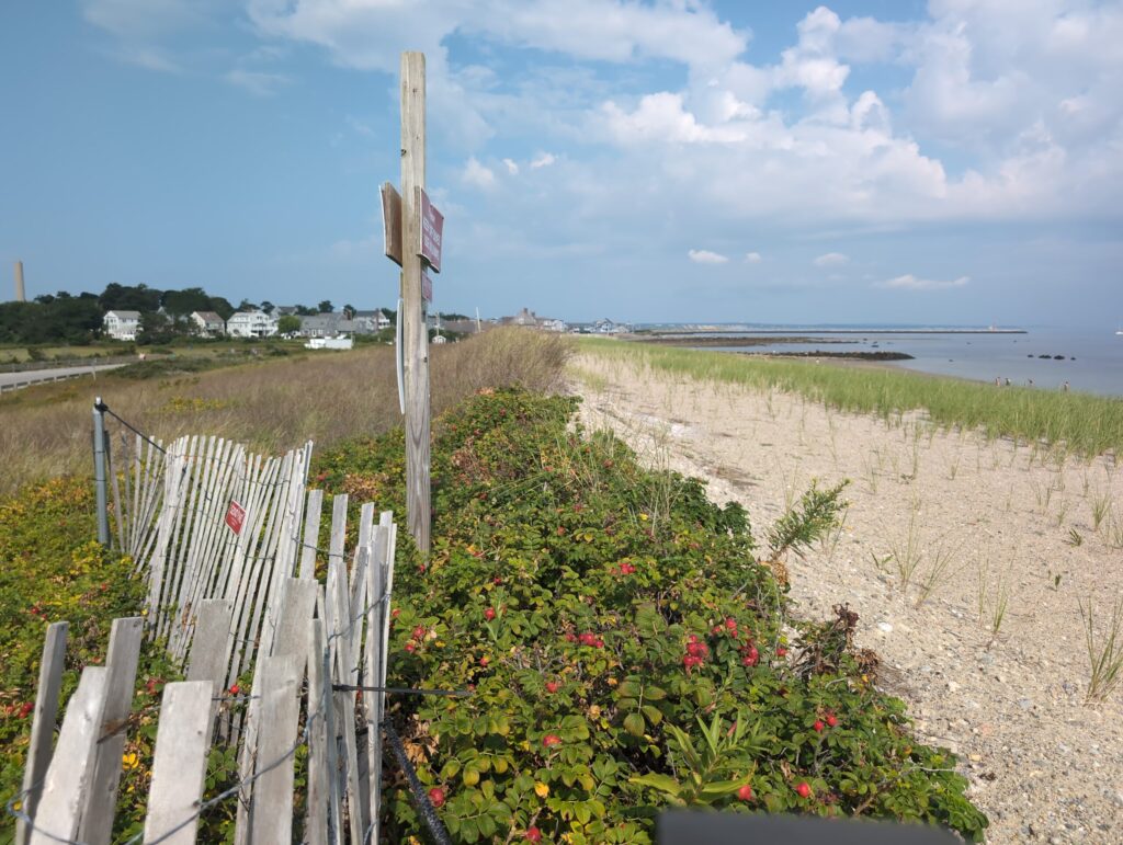 a fence in a field (MyCoast AI)