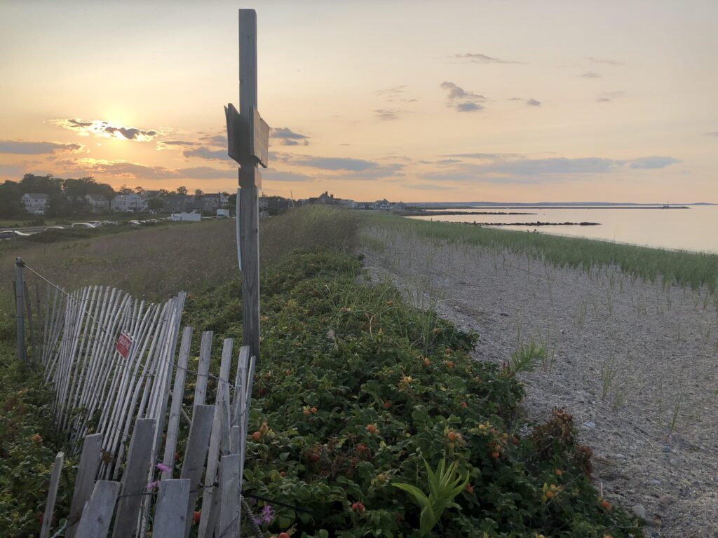 a fence and a field (MyCoast AI)