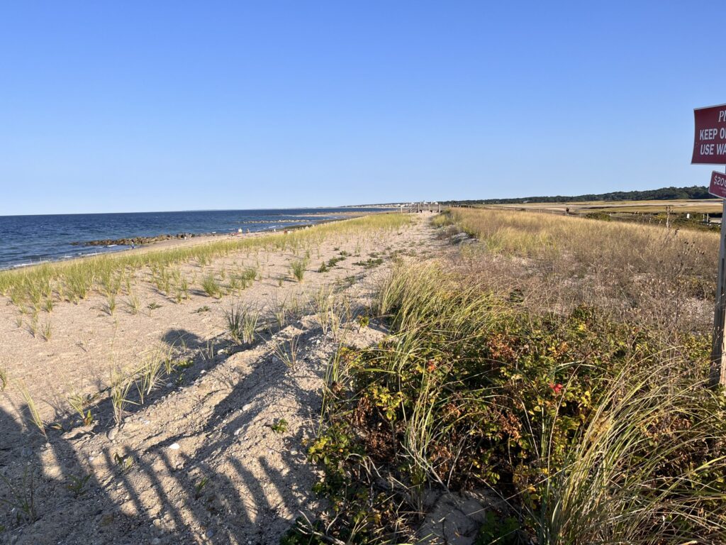 a dirt road next to a beach (MyCoast AI)