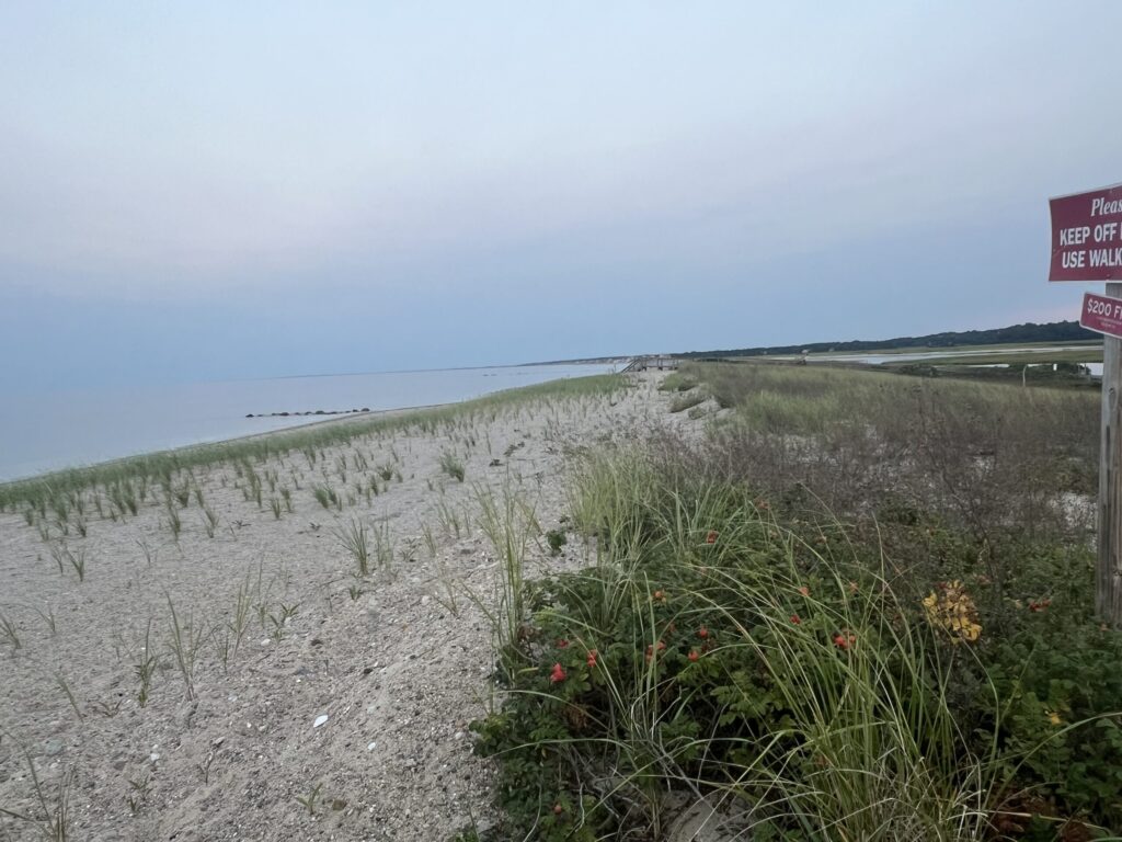 a beach with plants and a sign (MyCoast AI)