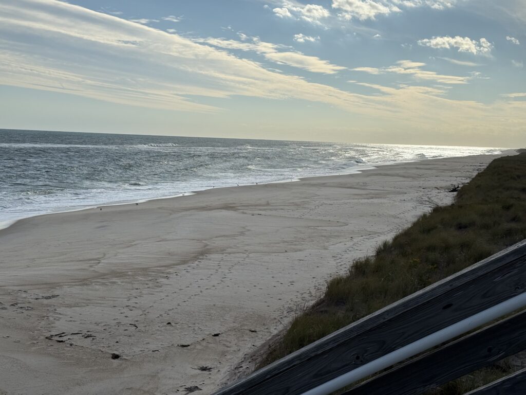 a beach with waves crashing on it (MyCoast AI)