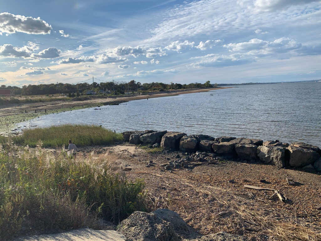 a body of water with rocks and grass around it (MyCoast AI)
