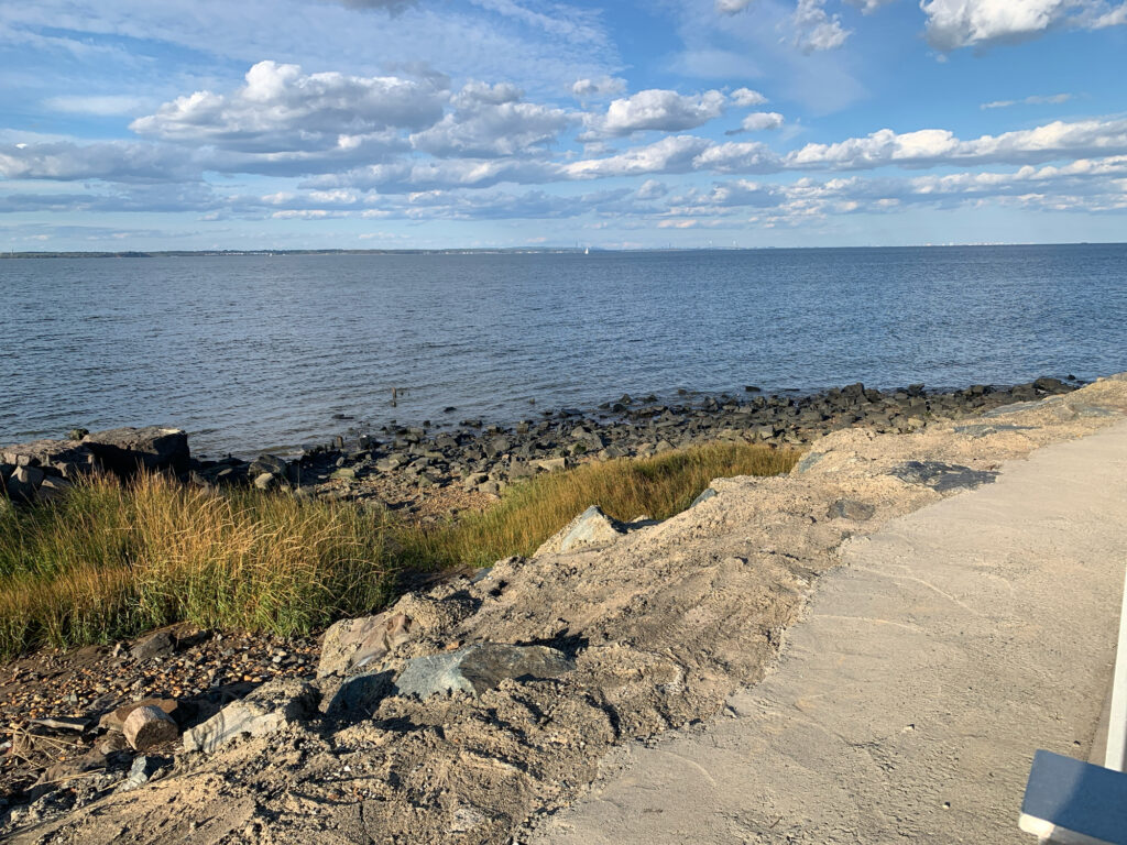 a beach with rocks and grass (MyCoast AI)