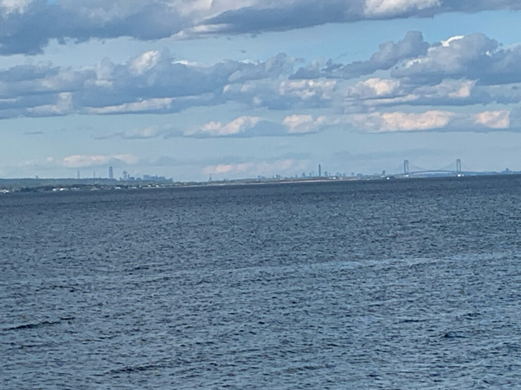 a body of water with a city in the distance (MyCoast AI)