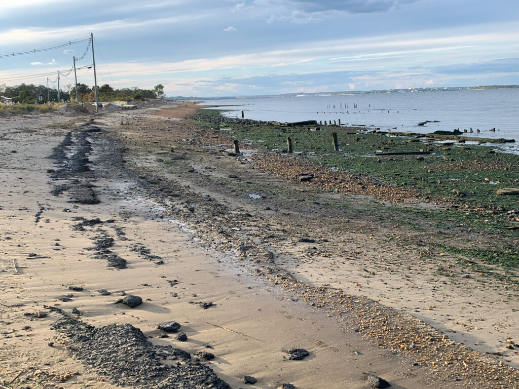 a beach with a body of water (MyCoast AI)