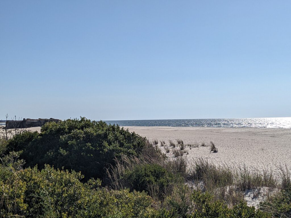 a sandy beach with bushes and trees (MyCoast AI)